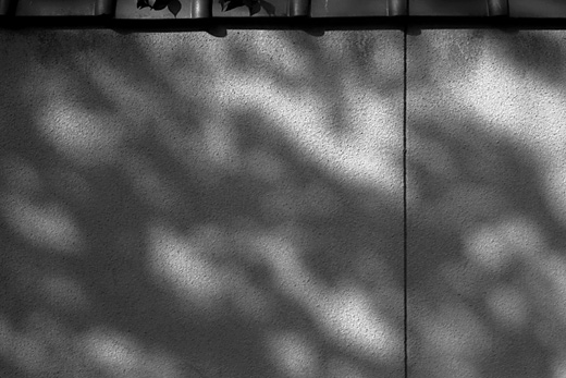 Ttblog_071012b_2
